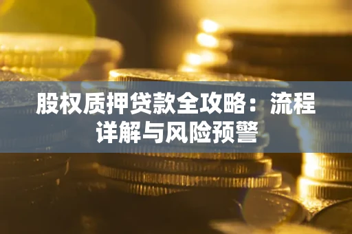 北京股权质押贷款全攻略：流程详解与风险预警