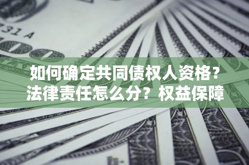 北京如何确定共同债权人资格？法律责任怎么分？权益保障技巧揭秘！