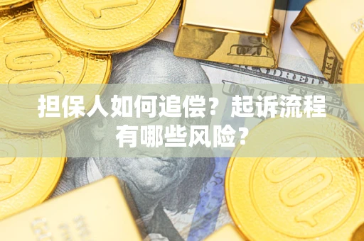 北京担保人如何追偿？起诉流程有哪些风险？