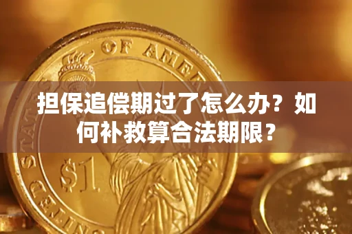 北京担保追偿期过了怎么办？如何补救算合法期限？
