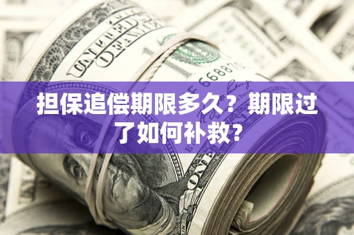 北京担保追偿期限多久？期限过了如何补救？