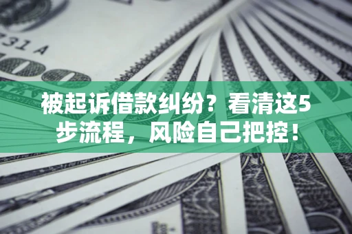 北京被起诉借款纠纷？看清这5步流程，风险自己把控！