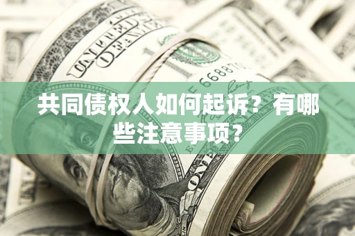 北京共同债权人如何起诉？有哪些注意事项？