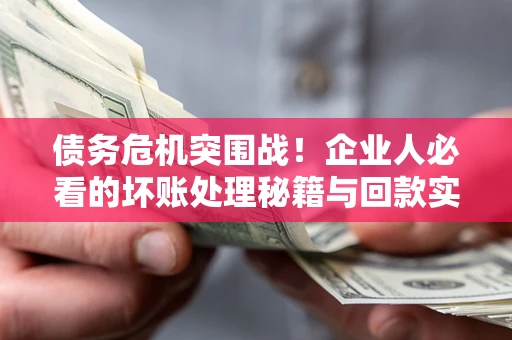 北京债务危机突围战！企业人必看的坏账处理秘籍与回款实战指南